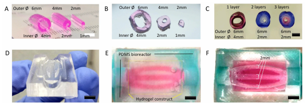 如何使用低成本桌面3D打印機(jī)創(chuàng)建血管結(jié)構(gòu) 如何使用低成本桌面3D打印機(jī)創(chuàng)建血管結(jié)構(gòu)
